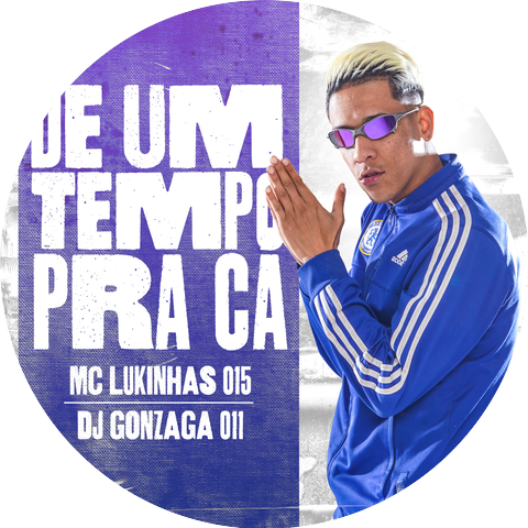 MC Lukinhas 015 & dj gonzaga 011
