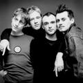 Fran Healy