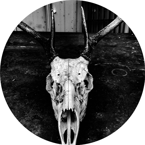 FDA Phantom