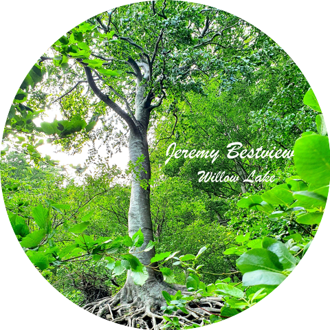 Jeremy Bestview
