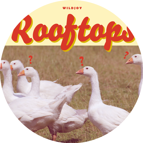 WILDJOY