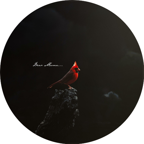 Highly Favored Productions