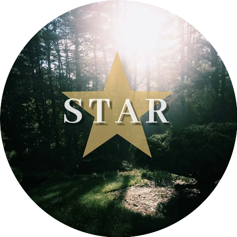STARA BEST
