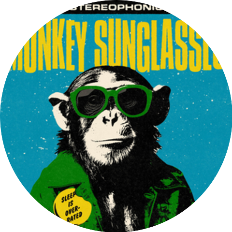 Monkey Sunglasses