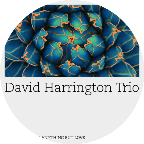 David Harrington Trio