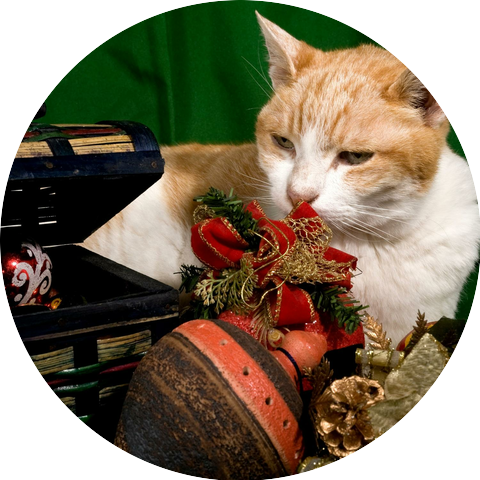 The Southern Labyrinth