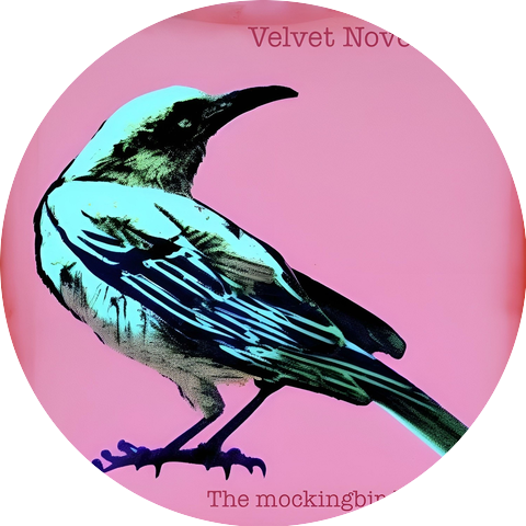 Velvet November