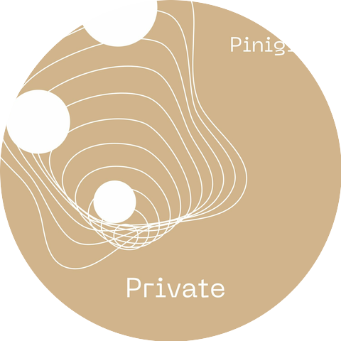 Pinigit