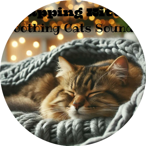 Cat Music Dream, Music for Cat & Sleepy Cats!
