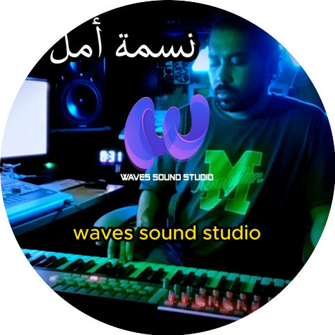 waves sound studio