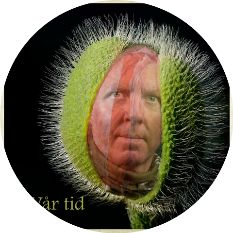 Widar Bjerkaker