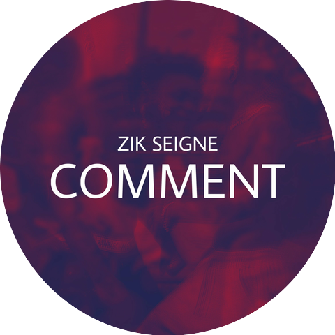 Zik Seigne