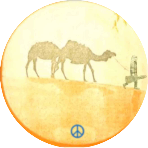 Alleen Plains