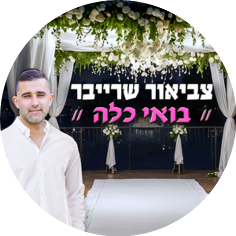צביאור שרייבר
