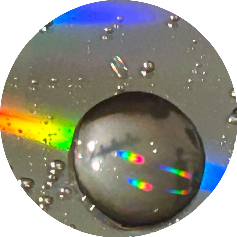 Airline Company Collective