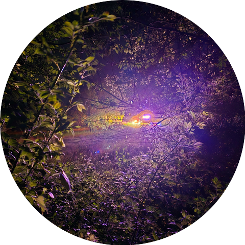 Dominick's Daughters