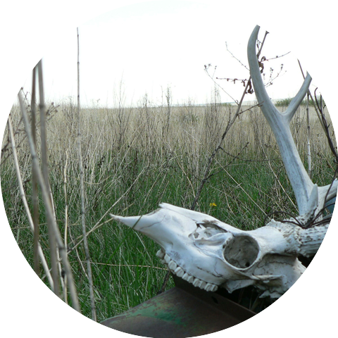 Kent McAlister & The Iron Choir