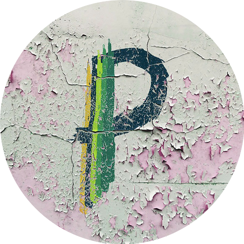 The Ping Pong Power Party Plan