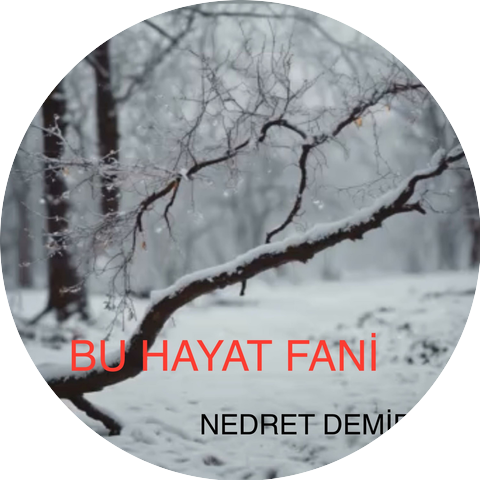 NEDRET DEMİR
