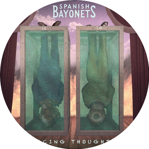 Spanish Bayonets
