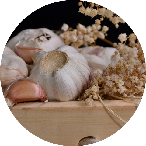 The Broken Labyrinth