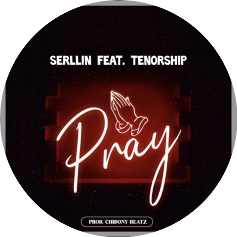 Serllin