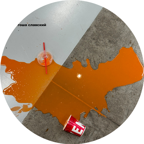 гоша славский