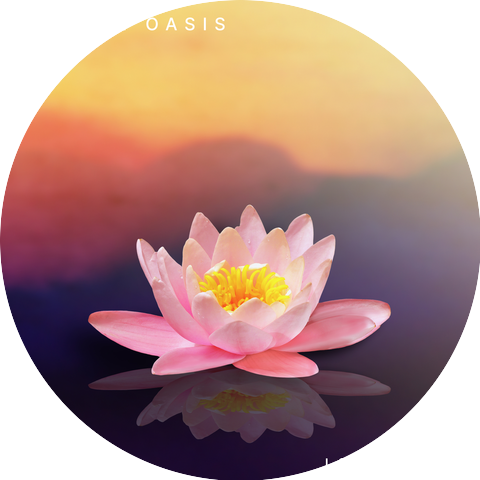 lotus lily