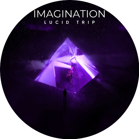 Lucid Trip