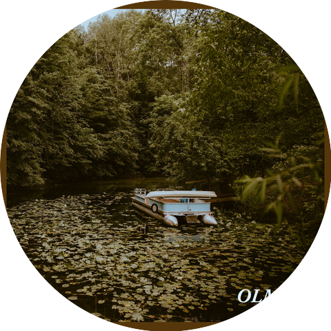 OLMIMO