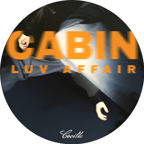 Cabin Luv Affair
