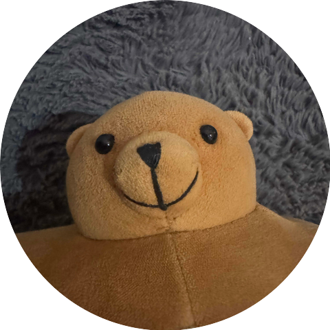 Pip The Bear