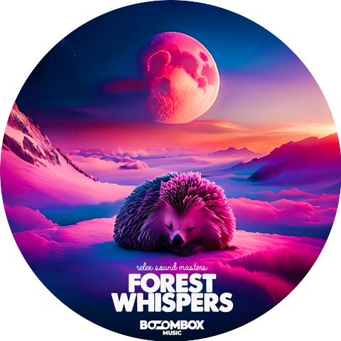 ASMR Relex Sound Masters