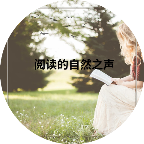 BS 专注
