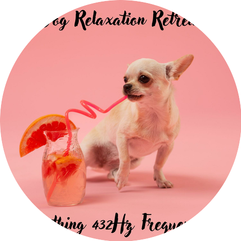 Dogs Music!, Music for Dogs! & 432 Hz Music