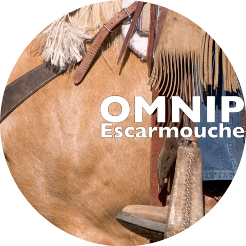 OMNIP