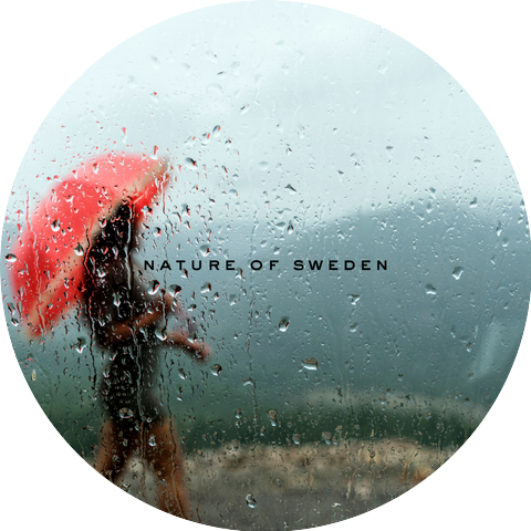 Nature Of Sweden & Natural Nordic Ambience & Nordic Nature