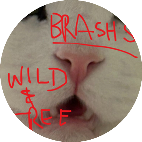 Brashs