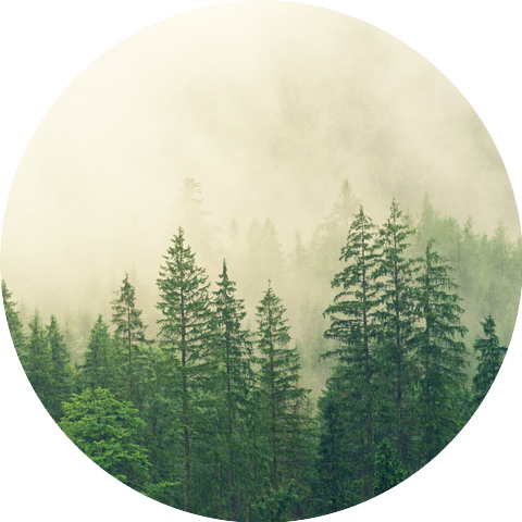 Peepeecore & poopoocore