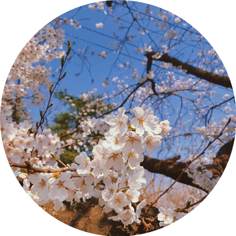 KyuHan