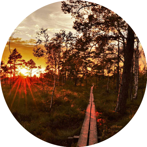 Erwin Mannello Project