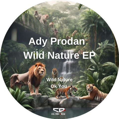 Ady Prodan