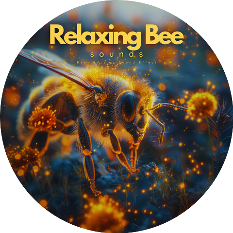 Relaxing Bee Sounds & Bee Sounds For Sleep
