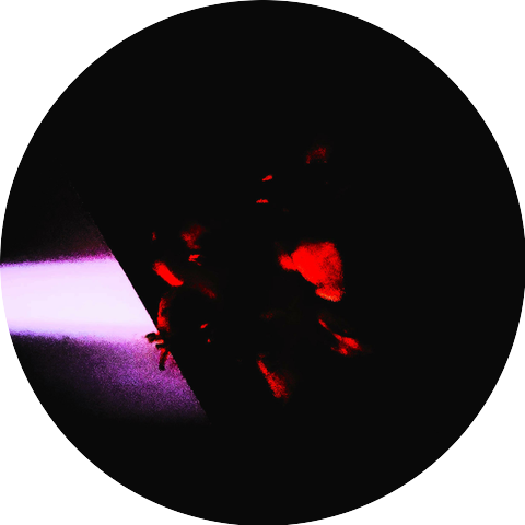 ProdReversed