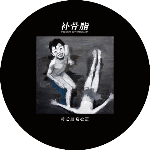 补骨脂乐队