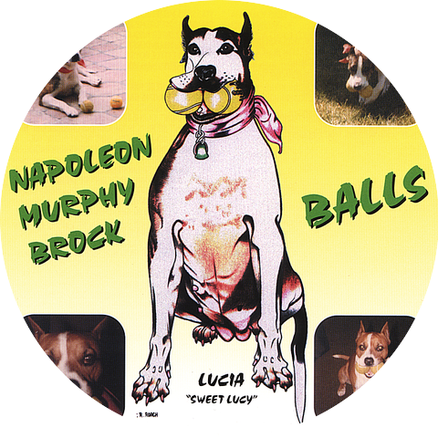 Napoleon Murphy Brock