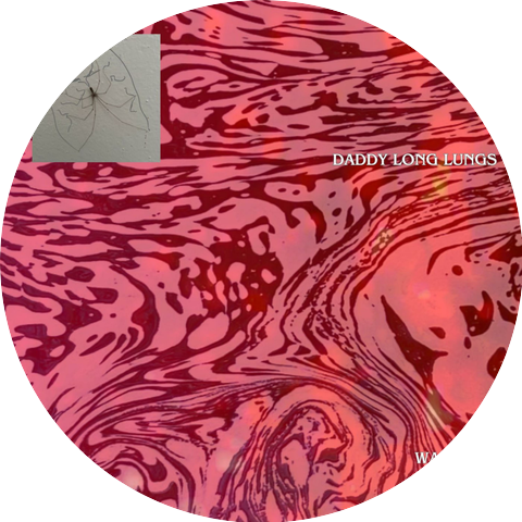 Daddy Long Lungs