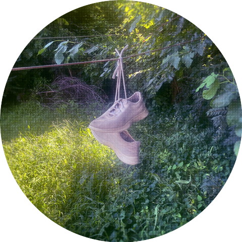 fairy type