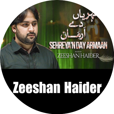 Zeeshan Haider Official