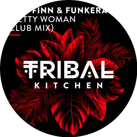 Sean Finn & Funkera
